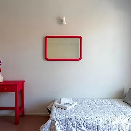 Asimina 3*